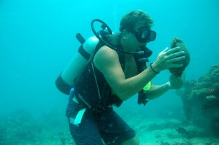 Your first dive